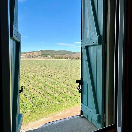 펜션 Charming House In An Organic Wine Estate