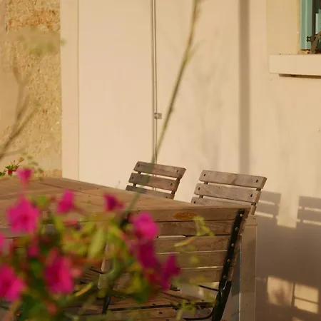 Charming House In An Organic Wine Estate 펜션 프롱티냥