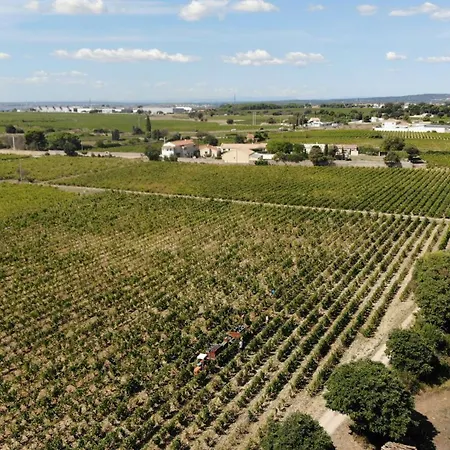 펜션 Charming House In An Organic Wine Estate