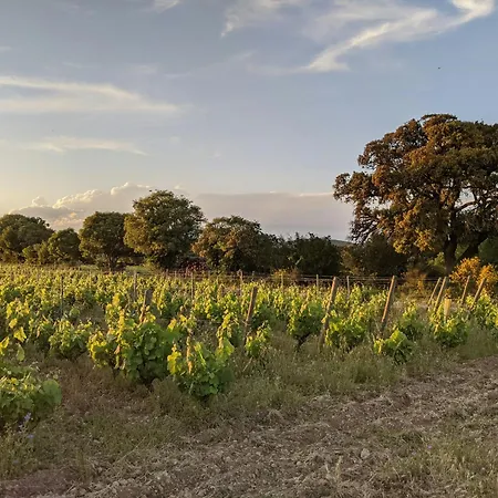펜션 Charming House In An Organic Wine Estate