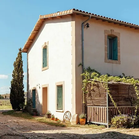 Charming House In An Organic Wine Estate 펜션 프롱티냥