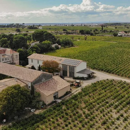 Charming House In An Organic Wine Estate 프롱티냥