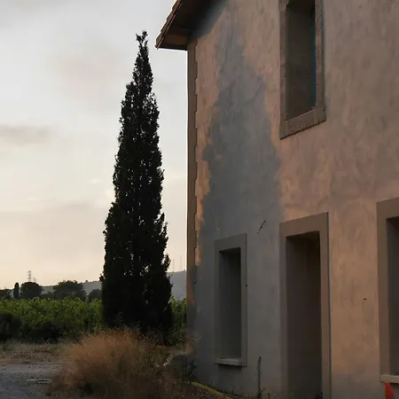 Charming House In An Organic Wine Estate Casa vacanze *