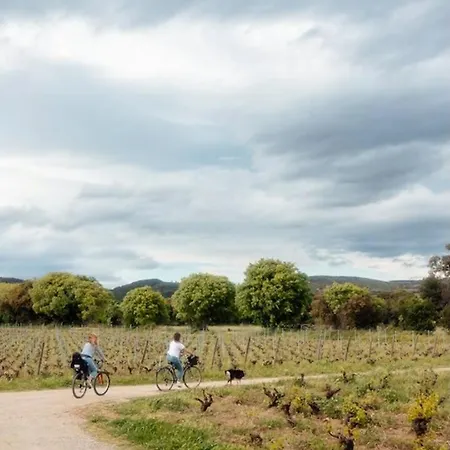 Charming House In An Organic Wine Estate * Frontignan