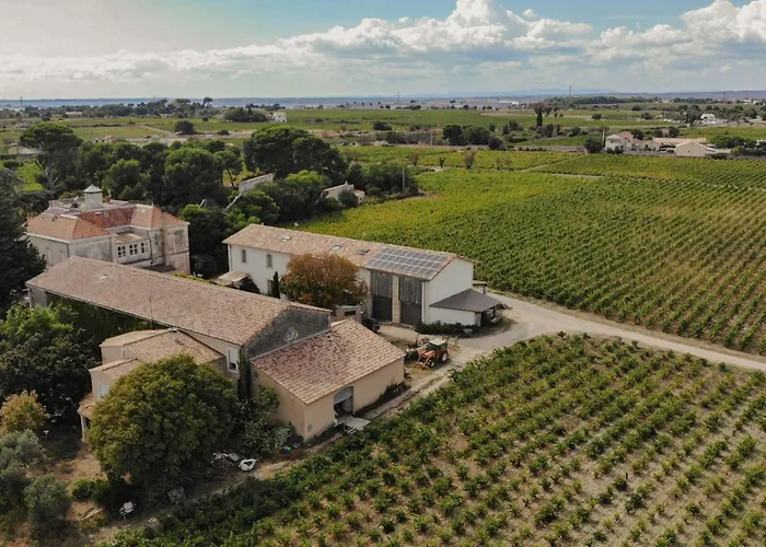 Charming House In An Organic Wine Estate Frontignan