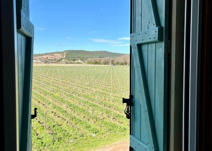 Charming House In An Organic Wine Estate * Frontignan
