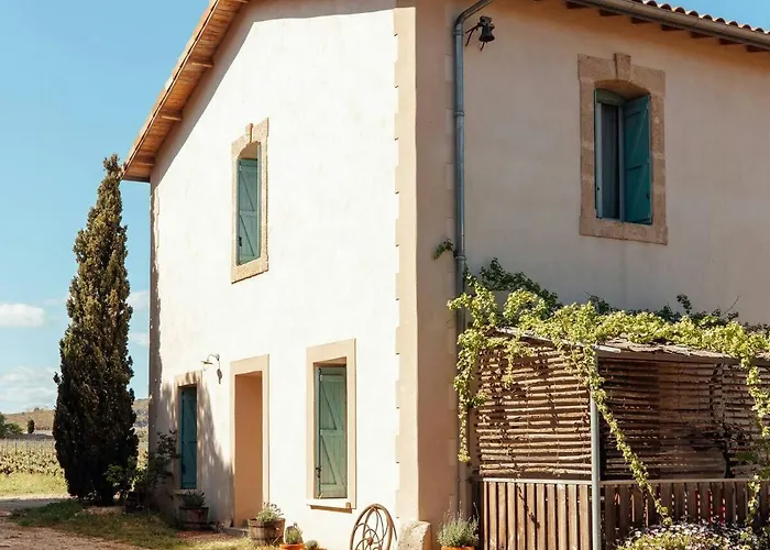 Charming House In An Organic Wine Estate Feriehus Frontignan